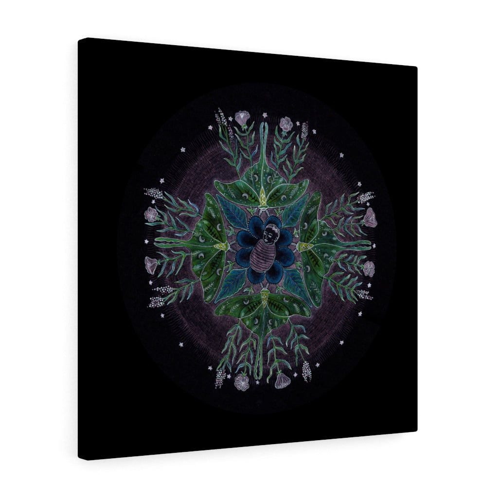 Art Canvas (Night)